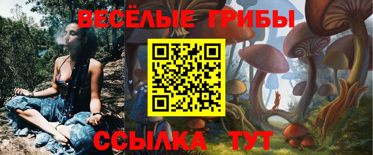 Псилоцибиновые грибы MAGIC MUSHROOMS Ахтубинск